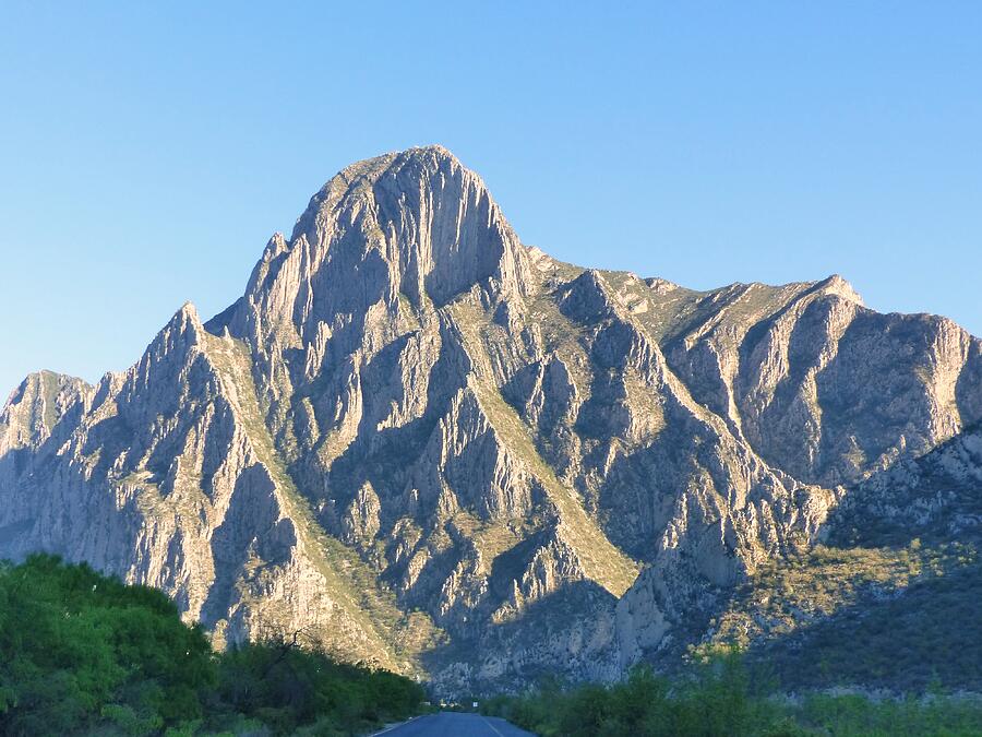 Majestic Monterrey Photograph by Rosanne Licciardi Majestic Monterrey Photograph by Rosanne Licciardi