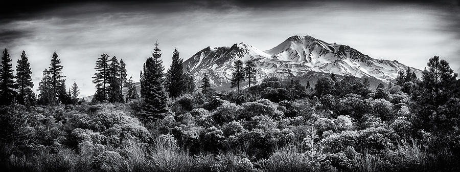 Majestic Mount Shasta in black and white Photograph by Marnie Patchett