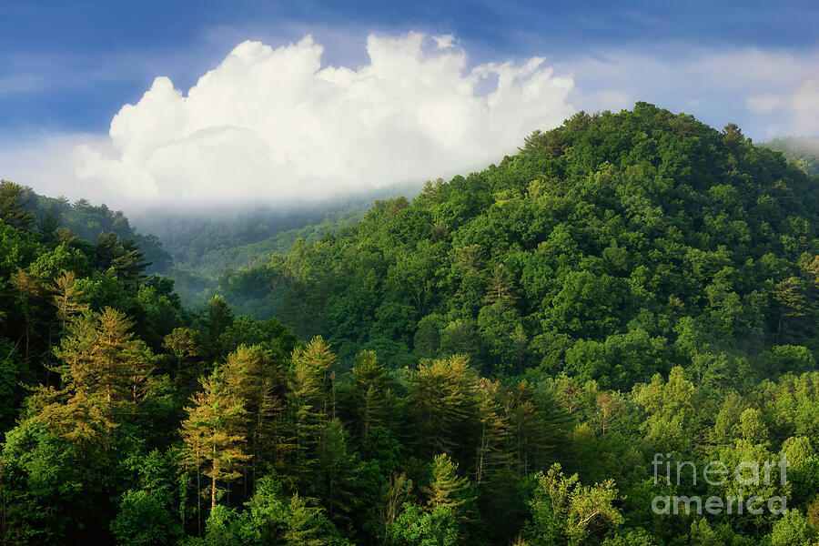 Majestic Mountains of Northeast Tennessee Photograph by Shelia Hunt