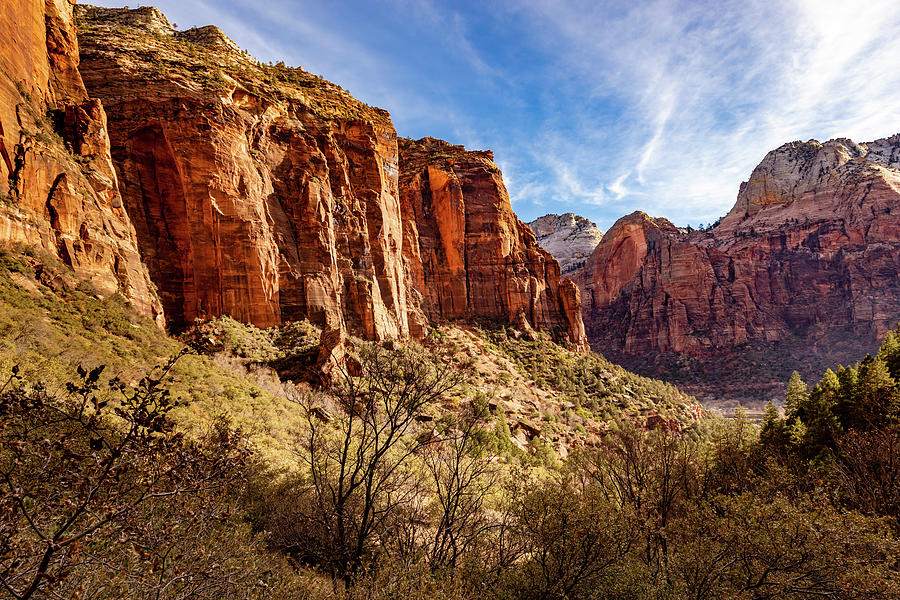 Majestic Mountains of Zion Photograph by Craig A Walker