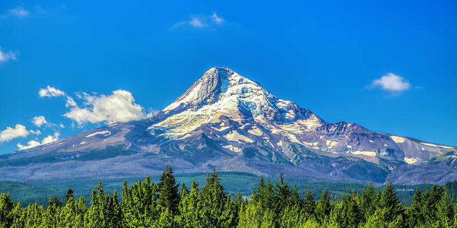 Majestic Mt Hood Photograph by Dale R Carlson