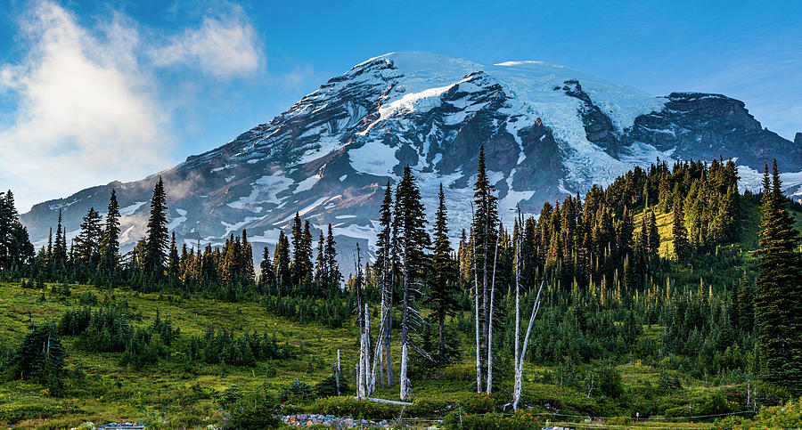 Majestic Mt Rainier Photograph by Tommy Farnsworth