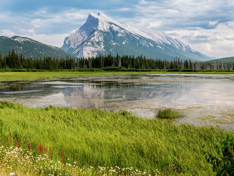 Majestic Mt. Rundle Photograph by Patti Deters