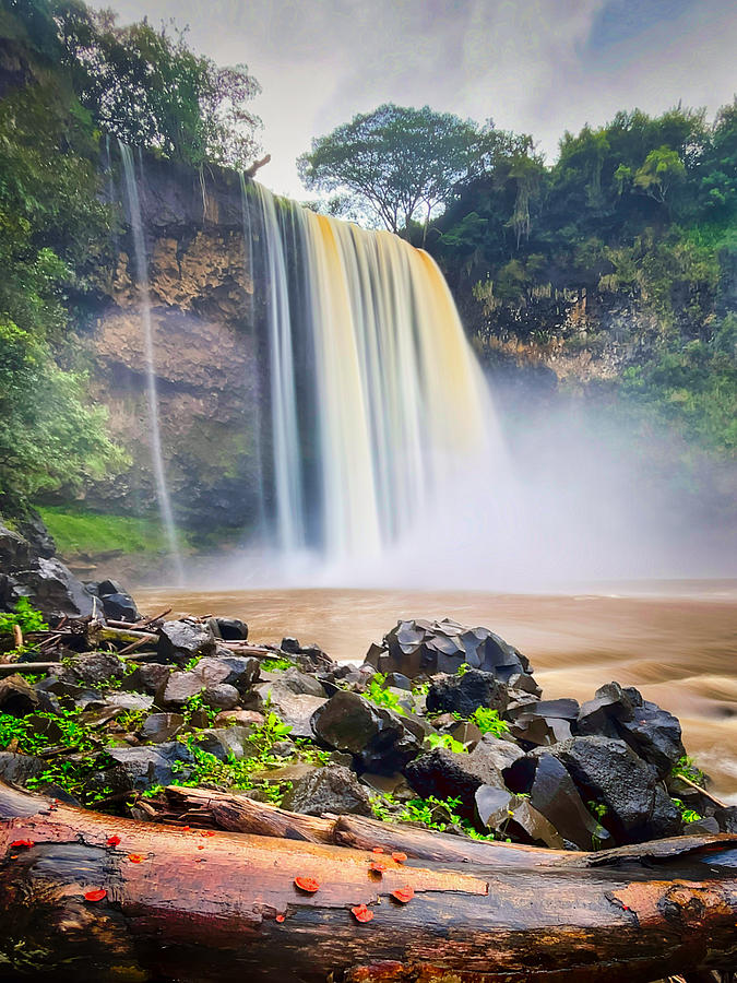 Majestic Wailua Falls Photograph by Bradley Morris