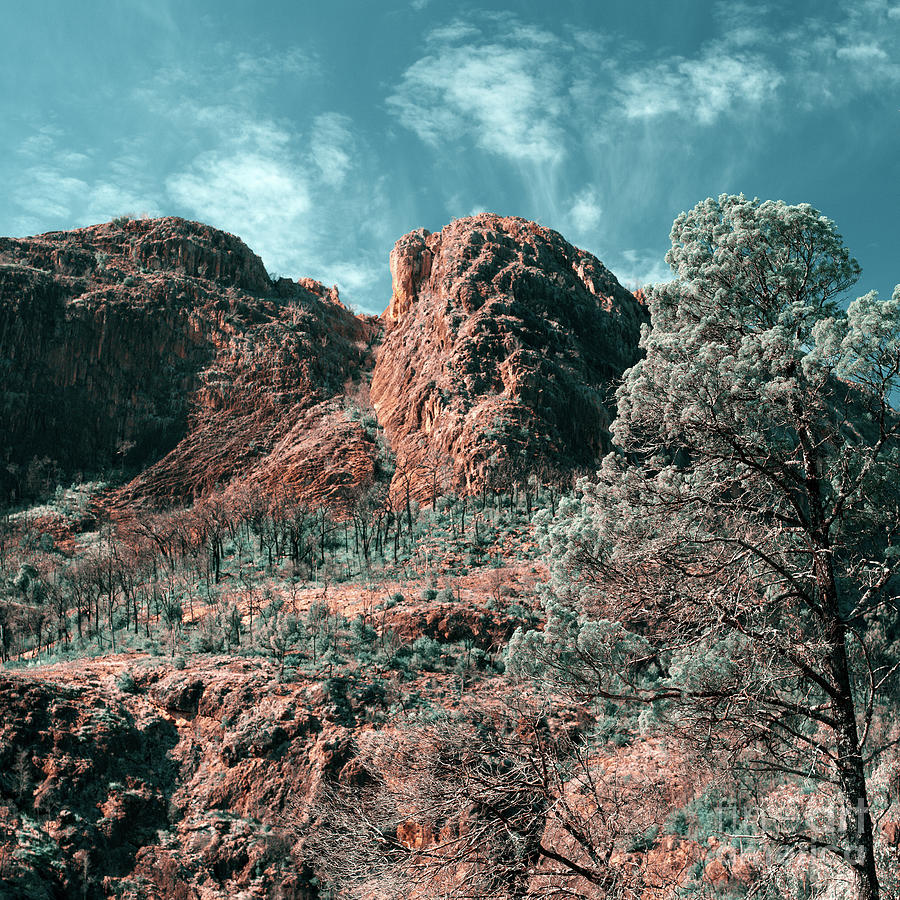 Majesty 2 by Russell Brown Majesty 2 by Russell Brown