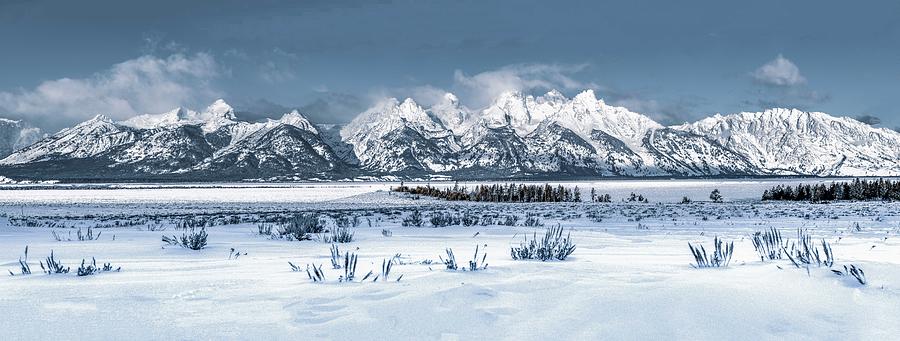 Majesty and Grandeur of the Tetons Photograph by Marcy Wielfaert