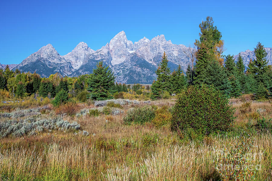 Majesty Of The Tetons Photograph by Jennifer Jenson - Fine Art America