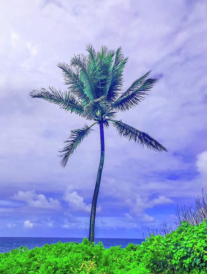 Makai Solstice Aloha Photograph by Joalene Young