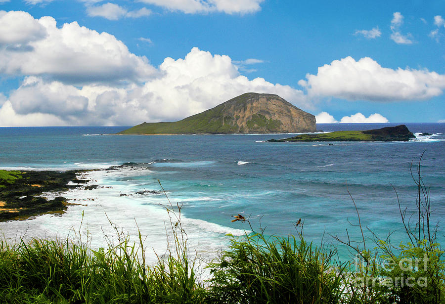 Makapuu Beach on a beautiful day on Oahu.  Photograph by Gunther Allen