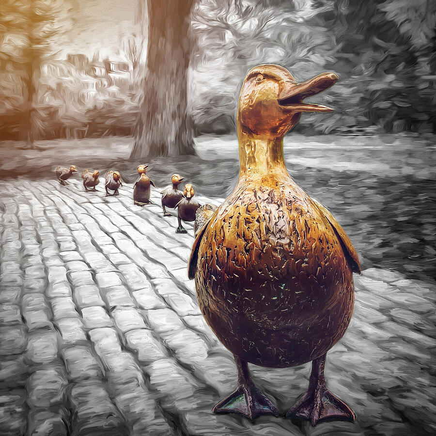 Make Way For Ducklings Boston Painterly Selective Color Square Photograph by Carol Japp