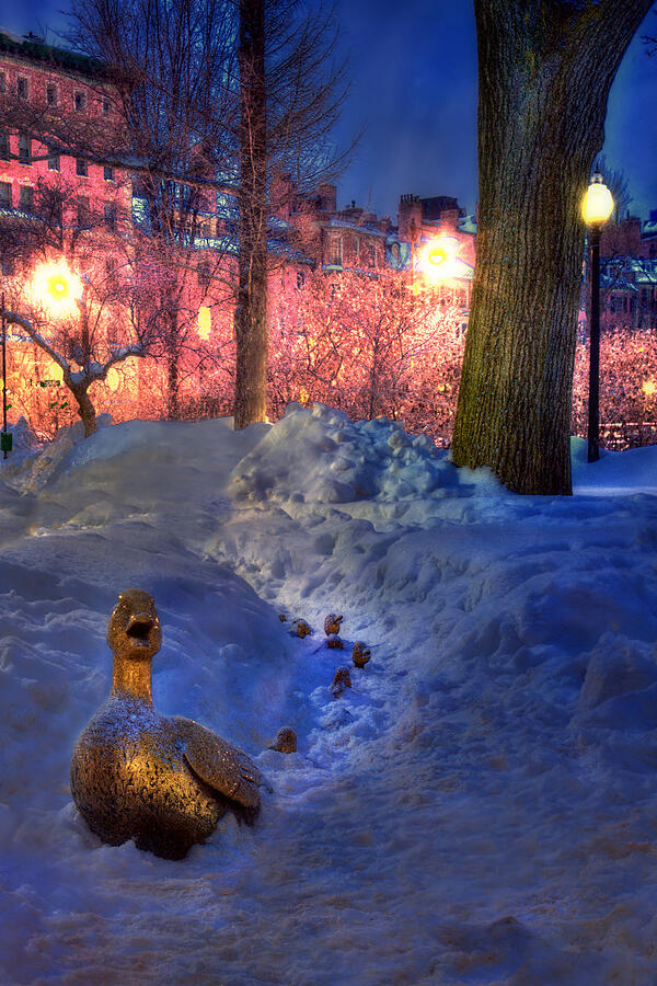 Make Way for Ducklings - Boston Public Garden Photograph by Joann Vitali