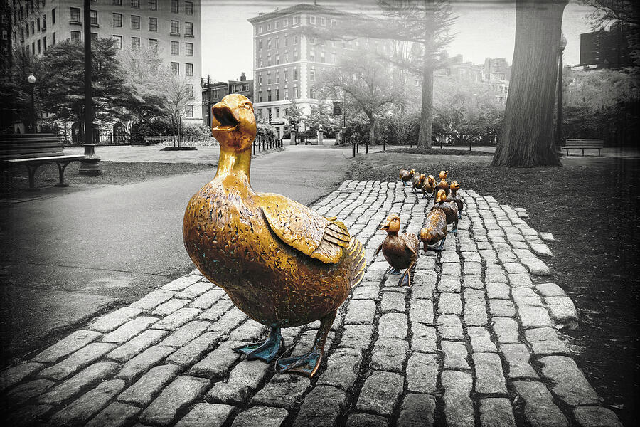 Make Way For Ducklings Boston Selective Color Photograph by Carol Japp