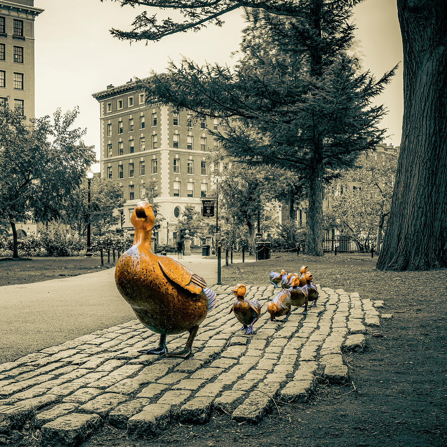 Make Way For Ducklings In Boston Public Garden - Selective Color Sepia Photograph by Gregory Ballos
