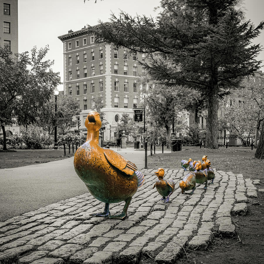 Black And White Photograph - Make Way For Ducklings Selective Coloring - Boston Public Gardens 1x1 by Gregory Ballos