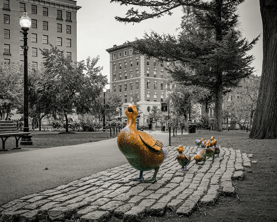 Make Way For Ducklings Selective Coloring - Boston Public Gardens Photograph by Gregory Ballos