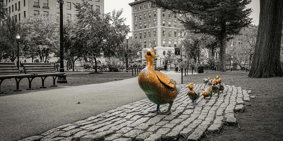 Black And White Photograph - Make Way For Ducklings Selective Coloring - Boston Public Gardens Panorama by Gregory Ballos