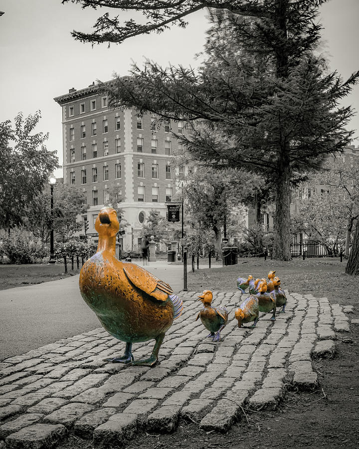 Black And White Photograph - Make Way For Ducklings Statues - Boston Mallard Family by Gregory Ballos