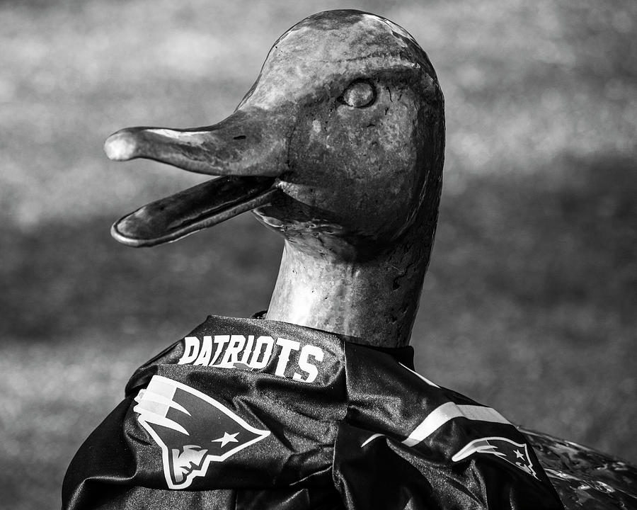 Make Way For Ducklings supporting the Patriots- Boston Public Garden Boston MA Game Face Black and W Photograph by Toby McGuire