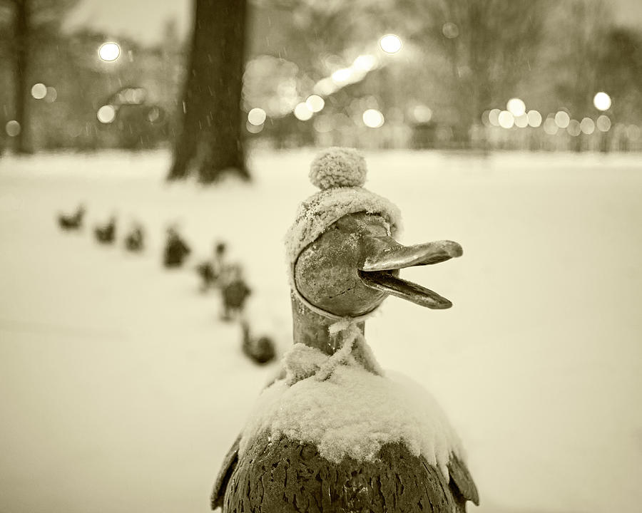 Boston Photograph - Make Way for Ducklings Winter Hats Boston Public Garden Christmas Sepia by Toby McGuire