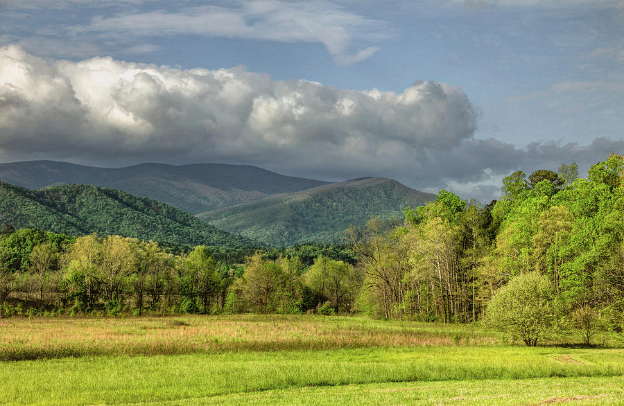 The Spring Splendor of a Tennessee Morning Photograph by Marcy Wielfaert