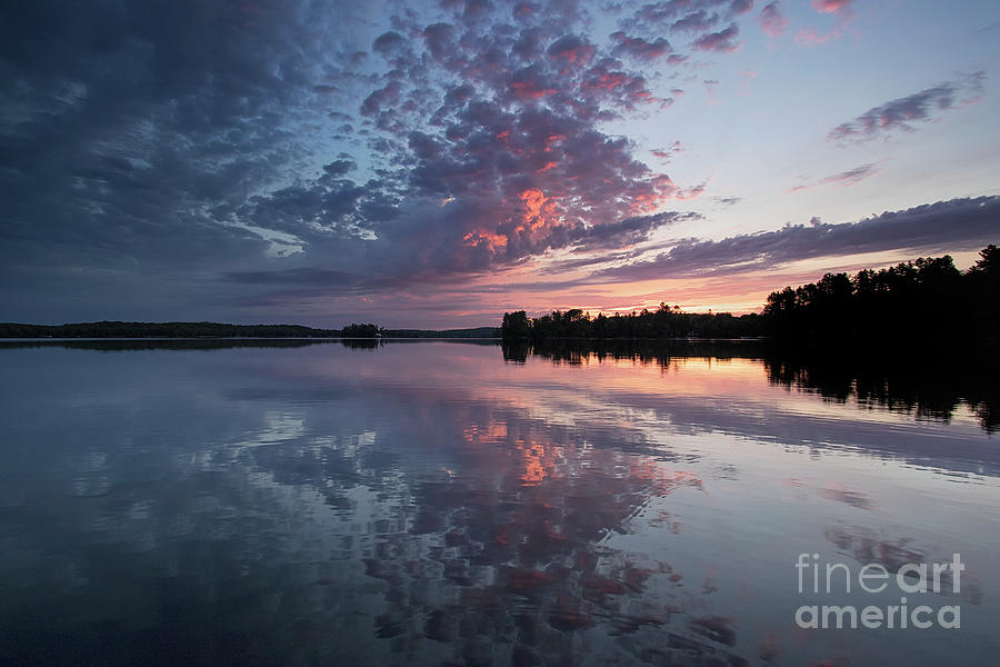 Making a Statement - Wollaston Lake - Northern Ontario Photograph by Spencer Bush