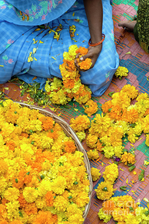 Making Flower Garlands in India Photograph by Tim Gainey