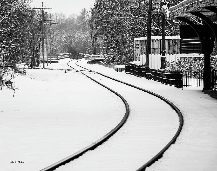 Making Tracks Photograph by Dale R Carlson