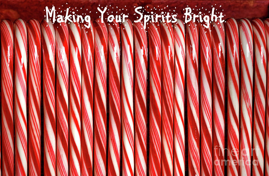 Making Your Spirits Bright Photograph