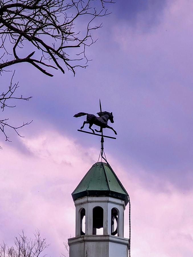 Malabar Weather Vane Photograph by Steed Edwards