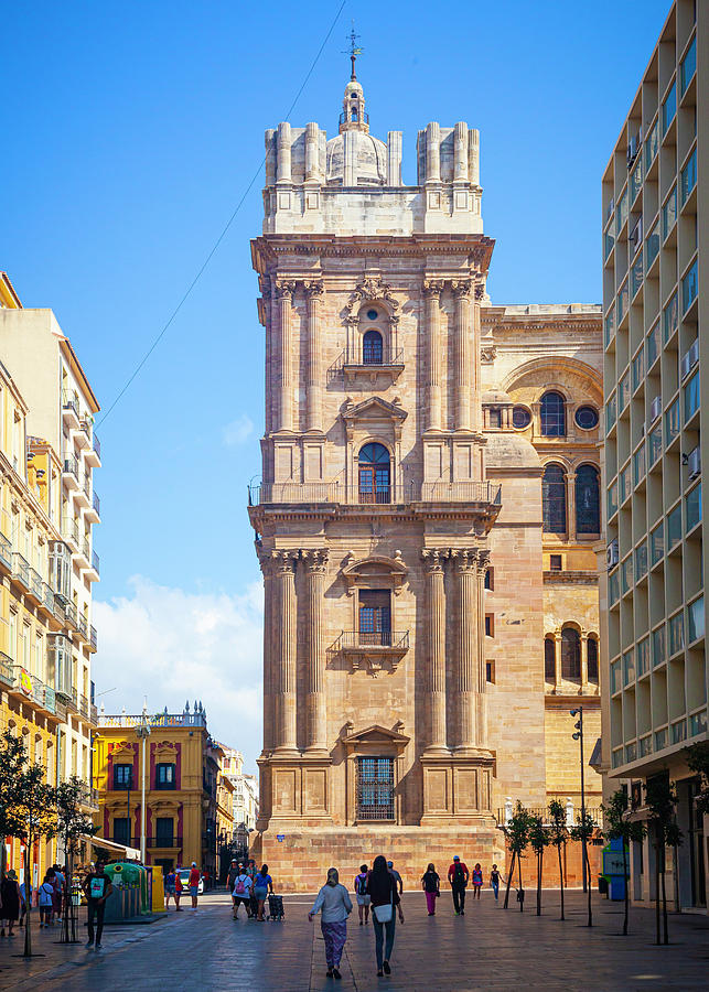 Malaga Photograph - Malaga Cathedral by Chris Dutton
