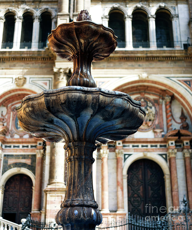 Malaga Cathedral Fountain in Spain Photograph by John Rizzuto