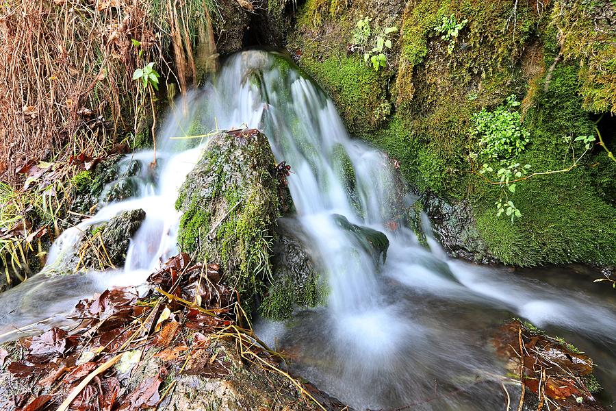 Malanaphy Springs VI Photograph by Nicholas Miller - Fine Art America