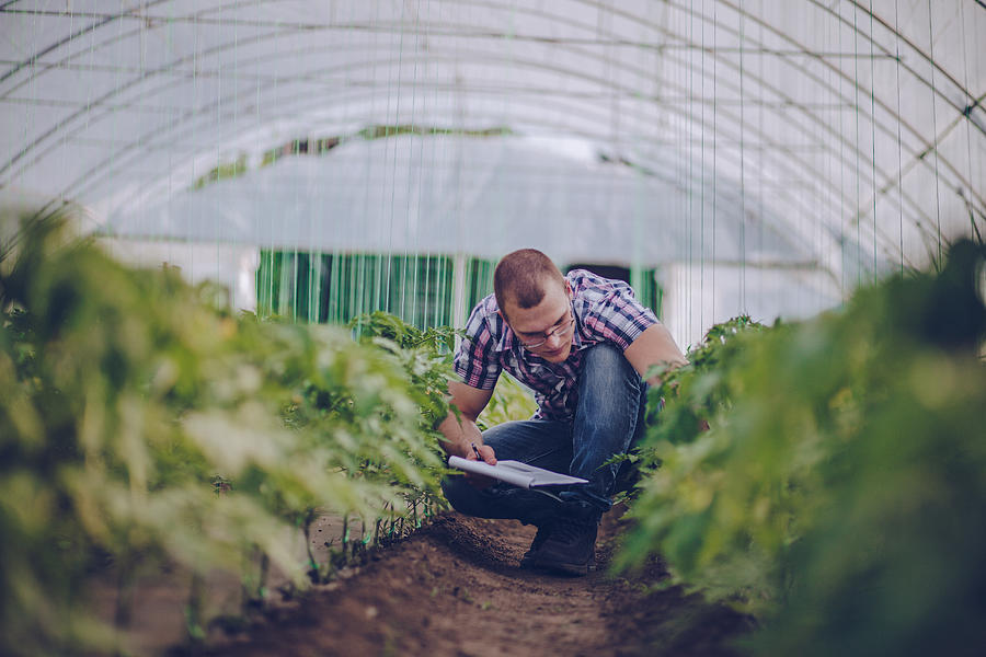 Male agronomist in greenhouse Photograph by South_agency