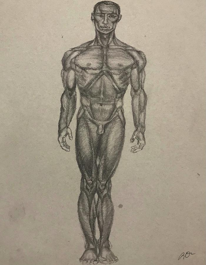 Sketch Male Anatomy Drawing | ubicaciondepersonas.cdmx.gob.mx