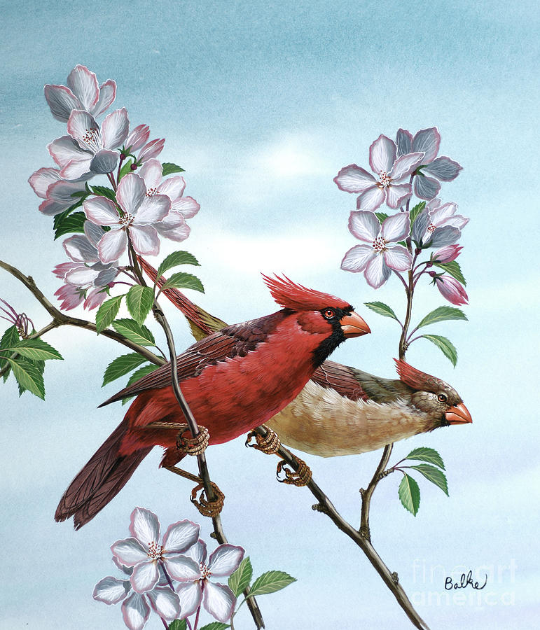 Male And Female Cardinal Painting by Don Balke