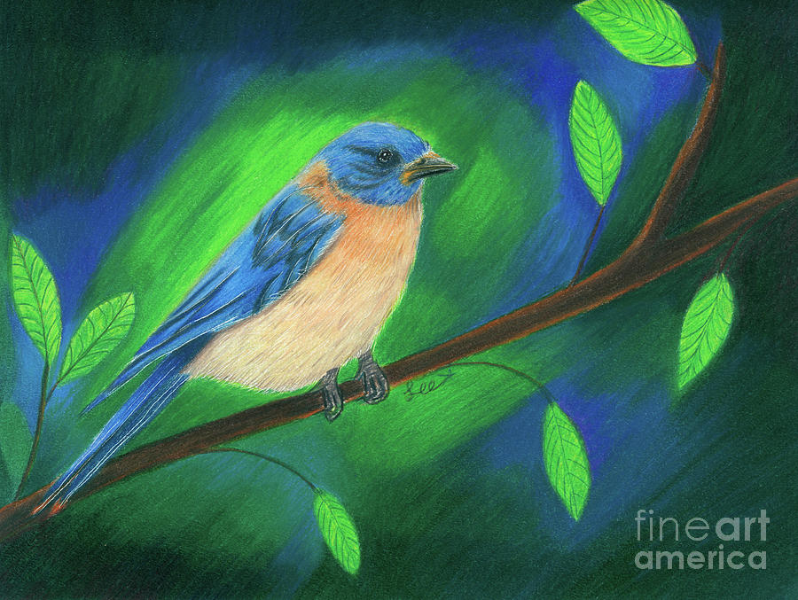 Male Bluebird At Twilight Painting by Dorothy Lee