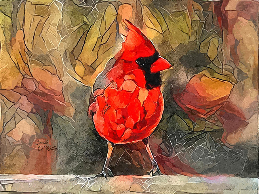 Male Cardinal Ditigal Painting Photograph by Sandi OReilly