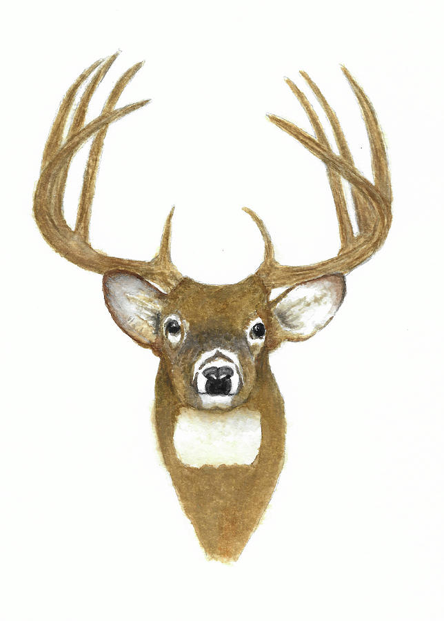 Male Deer #4 Painting