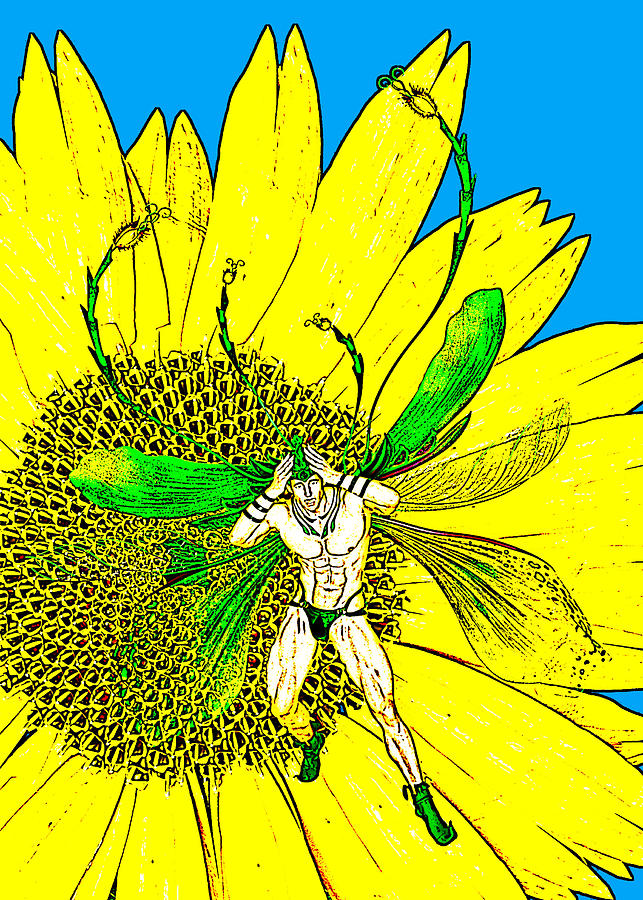 Male Fairy And Sunflower Comic Illustration 1 Drawing