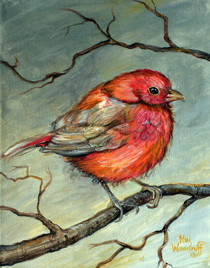 Male Firefinch Painting by Noi Woodruff