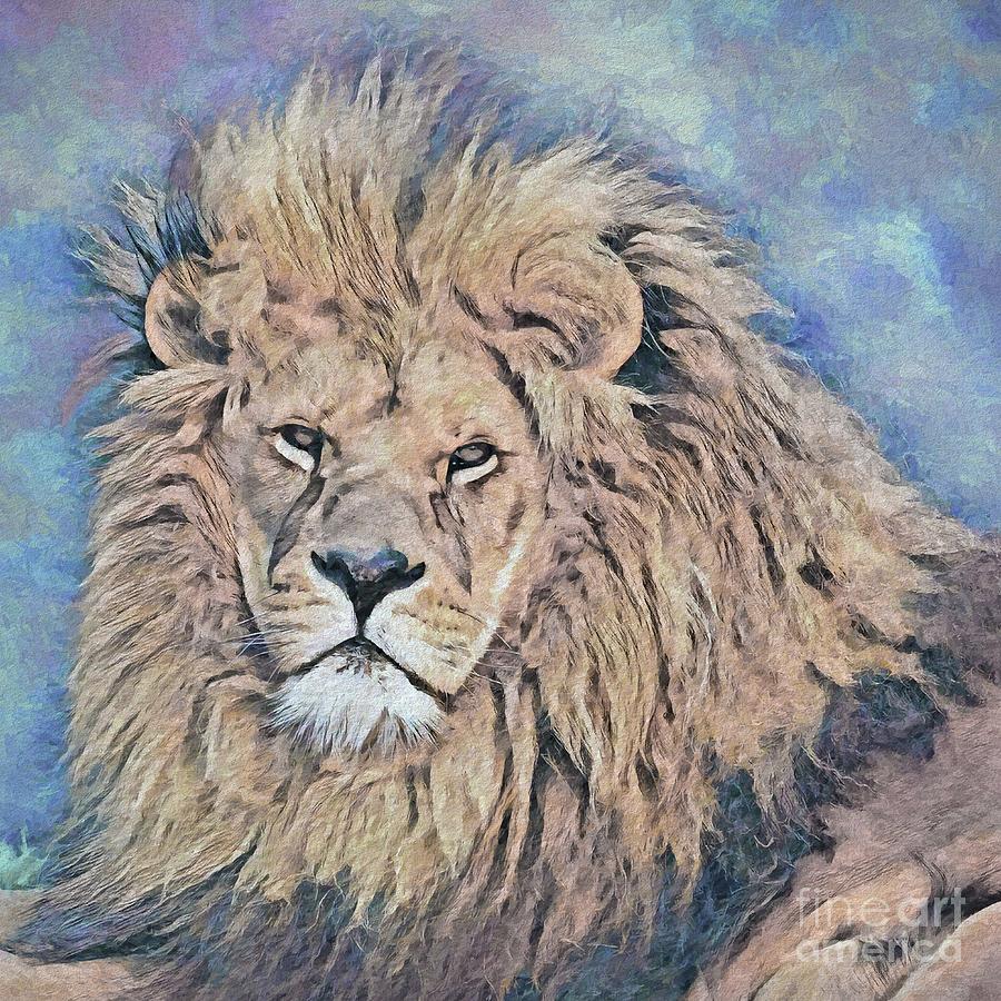 Male Lion Portrait 5 Photograph by Philip Preston