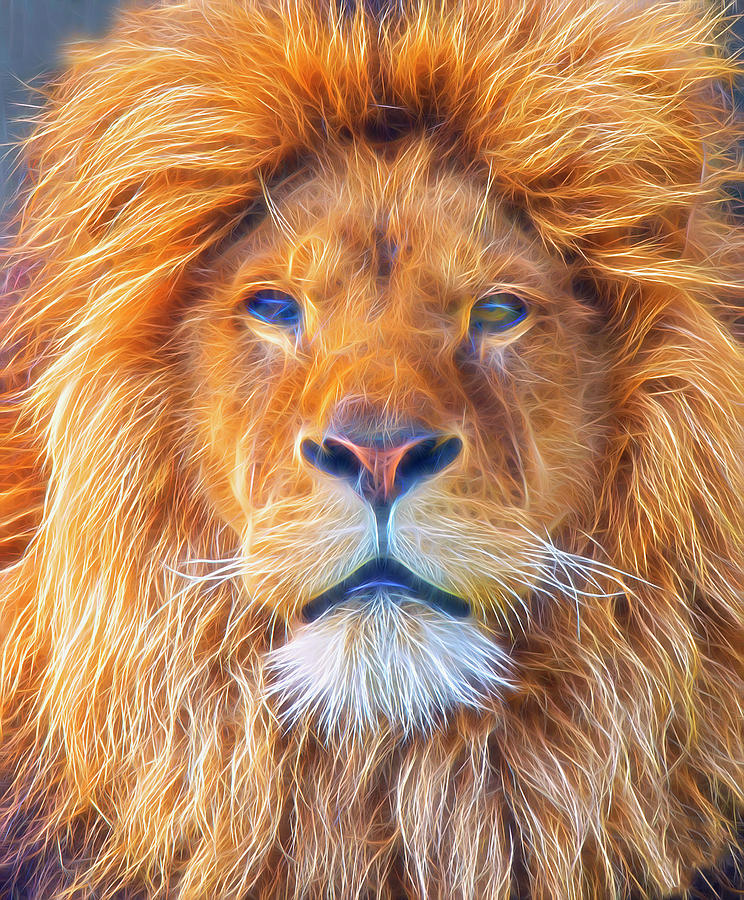 Male Lion Portrait Digital Art Digital Art
