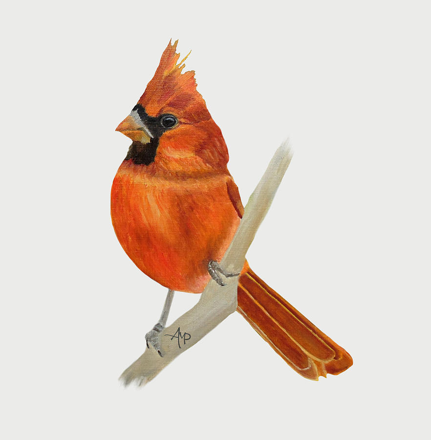 Male Northern Cardinal Painting by Angeles M Pomata