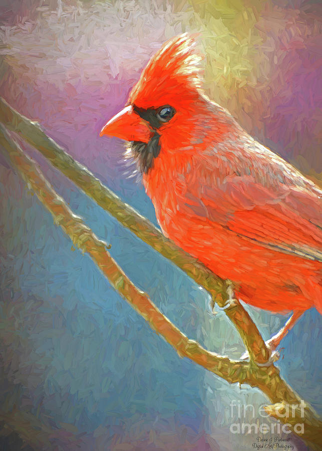 Male Northern Cardinal - Digital Paint Photograph by Debbie Portwood