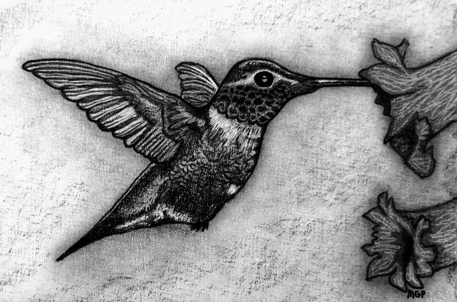 Male Ruby-throated Hummingbird Drawing