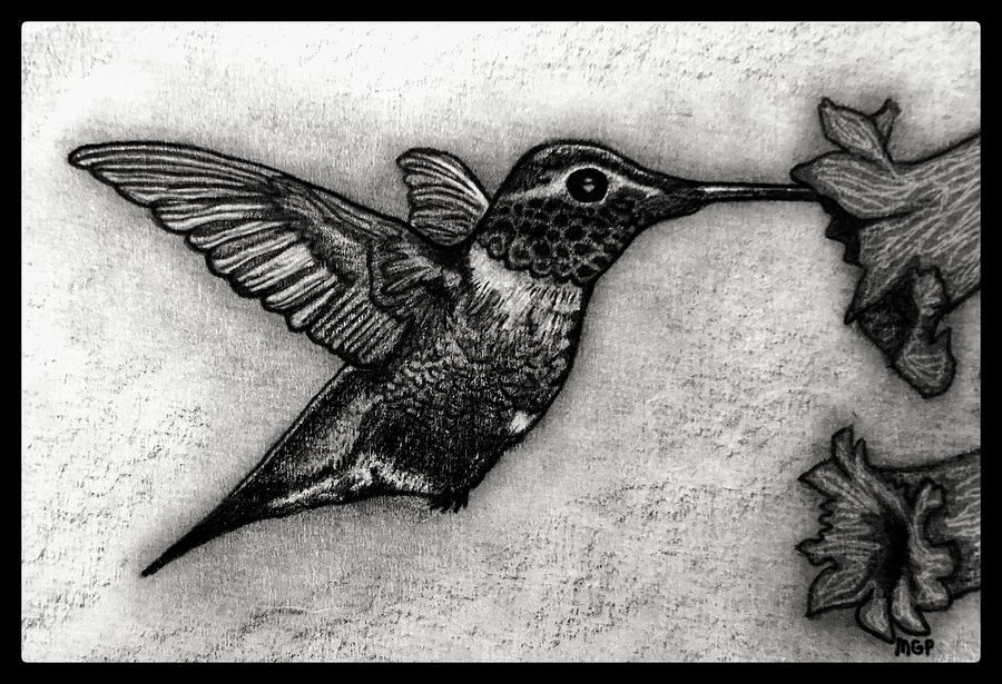 Male Ruby-throated Hummingbird W/ Border Drawing