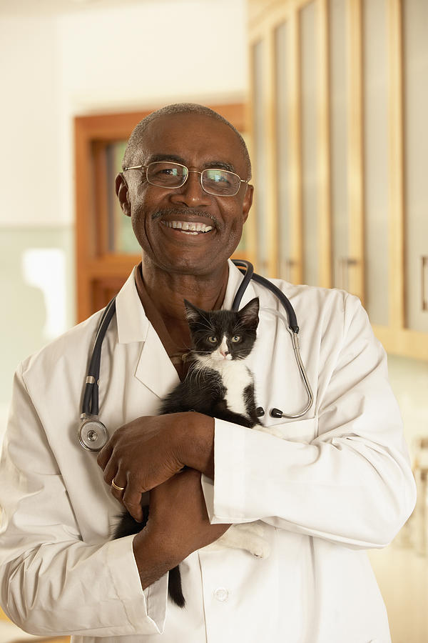 Male veterinarian with kitten, portrait Photograph by Ariel Skelley