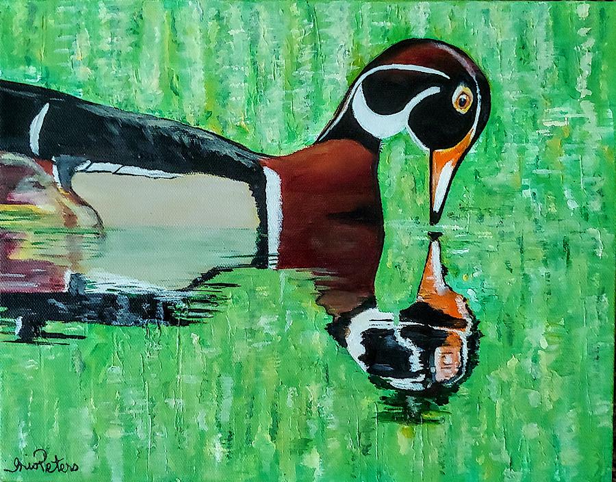 Male Wood Duck Painting by Iris Peters - Fine Art America