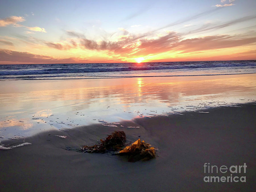 Malibu Sunset Photograph by Nina Prommer