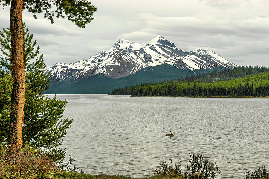 Maligne Lake, Canada Photograph by Mark Llewellyn